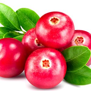 Lingonberry