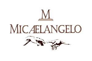 Micaelangelo