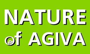 Nature Of Agiva
