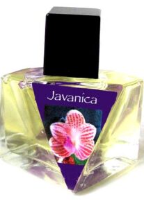 Javanica Olympic Orchids Artisan Perfumes
