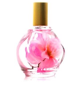Parfum d’Ambiance Rose Guy Bouchara