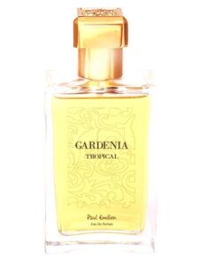 Gardenia Tropical Paul Emilien