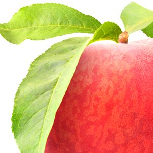 Peach Leaf