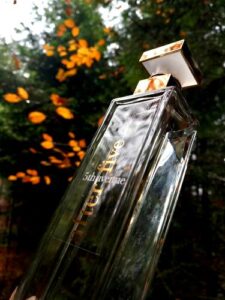 5th Avenue After Five Elizabeth Arden