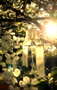 A Scent by Issey Miyake Issey Miyake