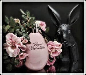 Agent Provocateur Agent Provocateur