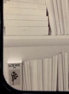 Aire Loewe Loewe