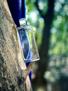 Aire Profumi di Pantelleria