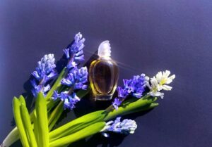 Escada Margaretha Ley Escada