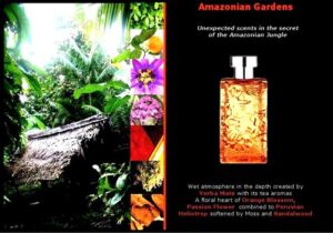 Amazonian Gardens Nicolas Danila