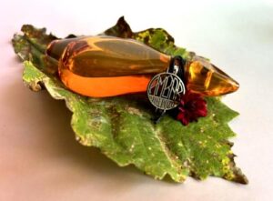 Ambar Jesus Del Pozo