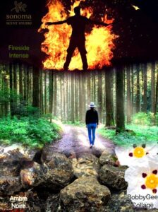 Fireside Intense Sonoma Scent Studio