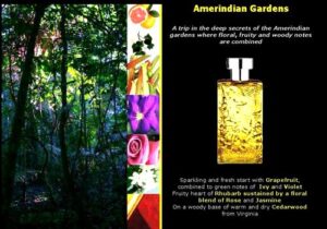 Amerindian Gardens Nicolas Danila