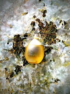 Amor América Paramela Natura