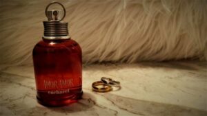 Esprit Horizon Women Esprit