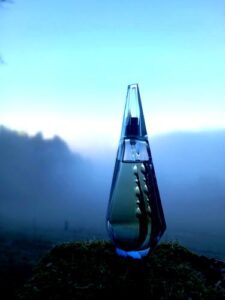 Ange ou Demon Tendre Givenchy