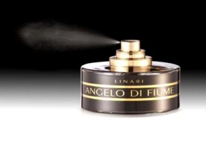 Angelo di Fiume Linari