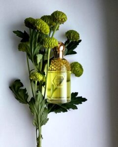 Aqua Allegoria Tutti Kiwi Guerlain