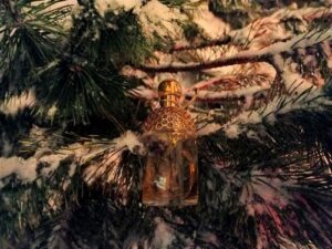 Aqua Allegoria Winter Delice Guerlain