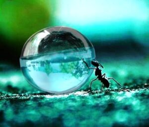 Aqva Pour Homme Bvlgari