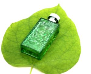 Arabian Gardens Nicolas Danila