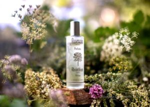 Assenzio L’Erbolario