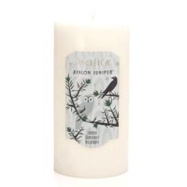 Avalon Juniper Pacifica