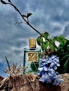 Azuree Soleil Eau Fraiche Skinscent Estée Lauder