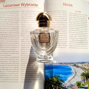 Belle de Nuit Fragonard