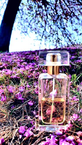 Beyond Paradise Estée Lauder para Mujeres | Parfumistas