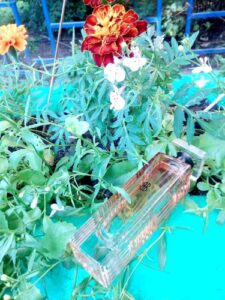 Bill Blass for Women Bill Blass