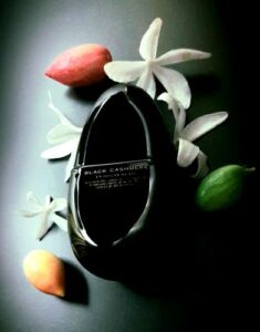 Black Cashmere Donna Karan