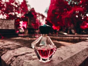 Black Star Avril Lavigne