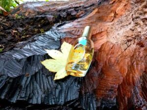 Blue Grass Elizabeth Arden