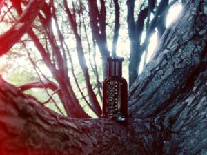 Boss Bottled Night Hugo Boss