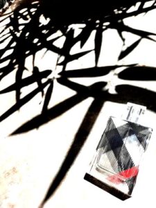 Burberry Brit Burberry