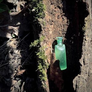 Bvlgari Eau Parfumee au The Vert Extreme Bvlgari