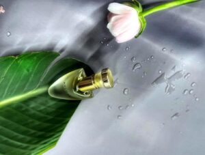 Organza Indécence Givenchy