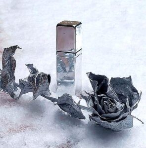 Calandre Paco Rabanne