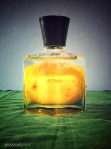 Capucci Pour Homme Roberto Capucci