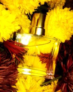 Celine Dion Celine Dion