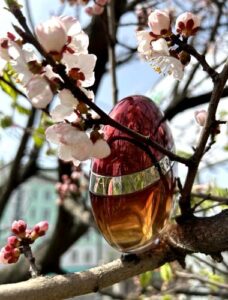 Cerruti 1881 Collection Cerruti