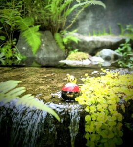 Cheap and Chic Hippy Fizz Moschino