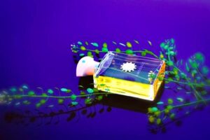 Ciel Pour Homme Amouage