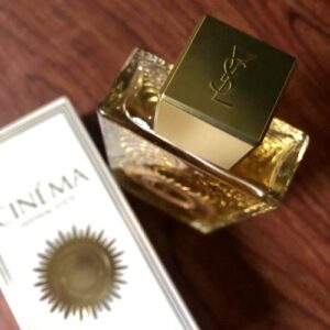 Cinéma Festival d’Ete Yves Saint Laurent