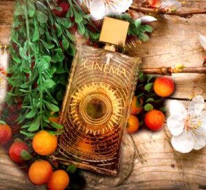 Cinéma Festival Yves Saint Laurent