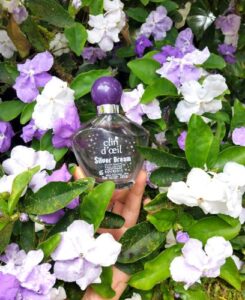 Clin d’Oeil Silver Dream Bourjois