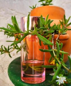 Clinique Happy Heart 2003 Clinique