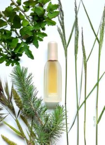 Clinique Wrappings Clinique