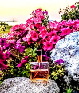 Coeur d’Ete Miller Harris